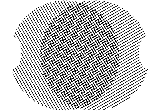 Dual Scope Digital logo
